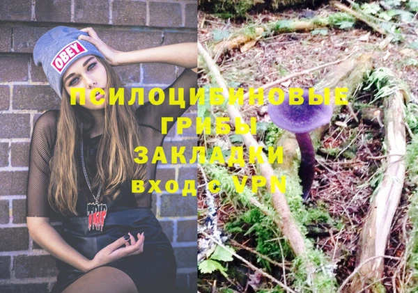 MDMA Premium VHQ Нязепетровск