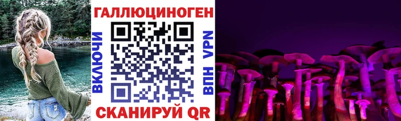 Купить закладки  Светлоград  Псилоцибиновые грибы Psilocybine cubensis 